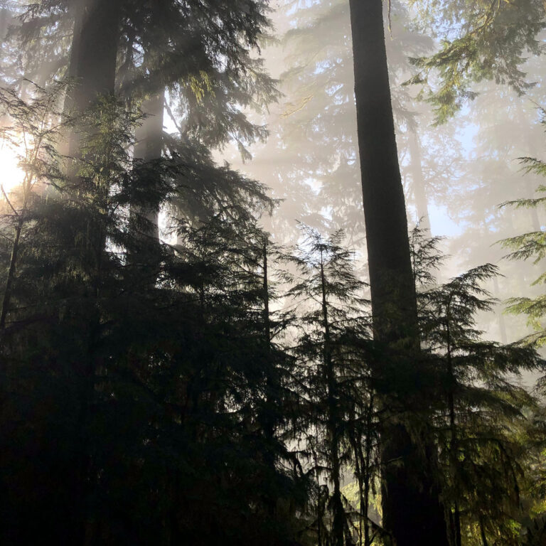 mcwcc--newport--david-baker-ETr89AdR1ho-unsplash