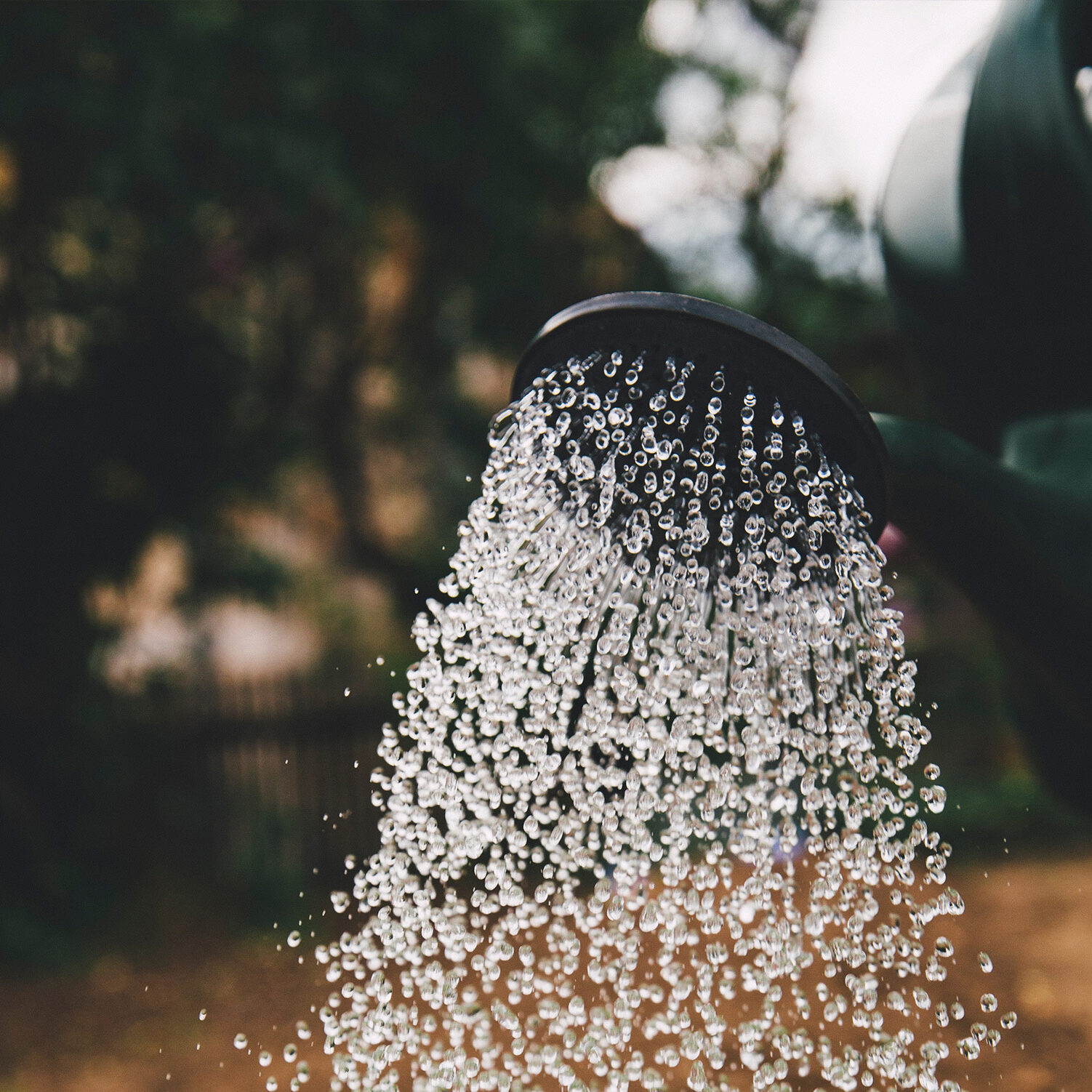 mcwcc--img--watering-garden